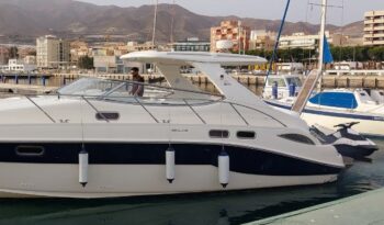 
										SEALINE SC41 completo									