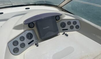 
										SEALINE SC41 completo									