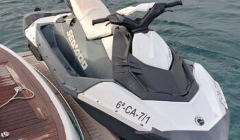 
										SEALINE SC41 completo									