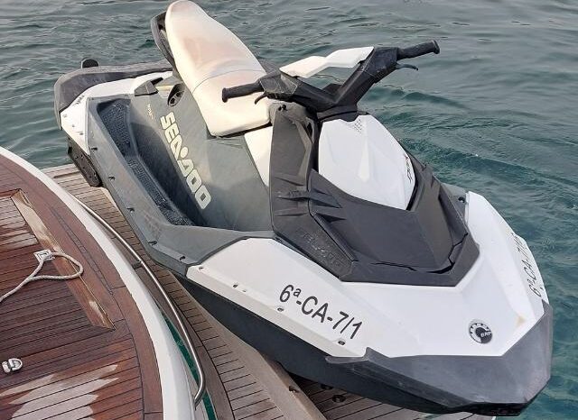 
								SEALINE SC41 completo									