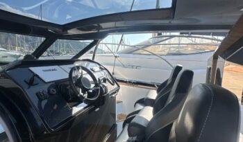 
										Focus Forza 37 completo									