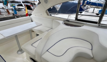 
										Bavaria 33HT completo									