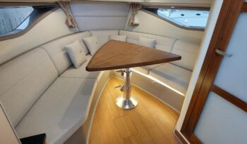 
										Sea Ray Sundancer 320 completo									