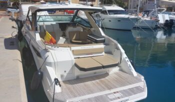 
										Sea Ray Sundancer 320 completo									