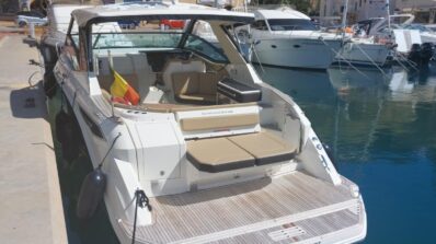 Sea Ray Sundancer 320