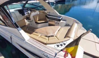 
										Sea Ray Sundancer 320 completo									