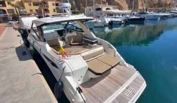 
										Sea Ray Sundancer 320 completo									