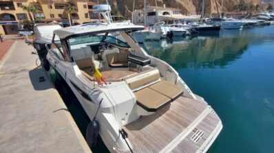 Sea Ray Sundancer 320