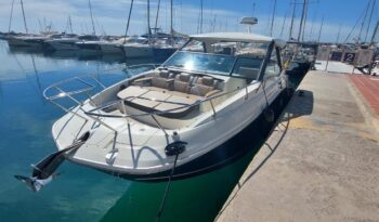 
										Sea Ray Sundancer 320 completo									