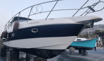 
										Sessa Marine C35 completo									