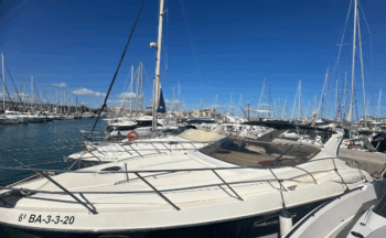 Gobbi Atlantis 42