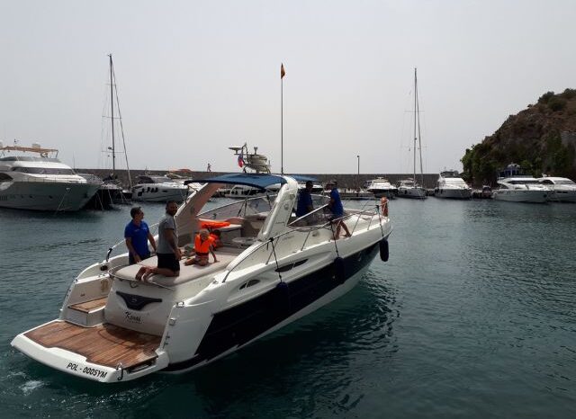 Cranchi Endurance 41