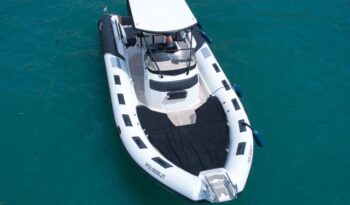 
										RANIERI CAYMAN 31 Sport Touring completo									