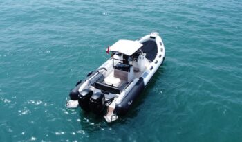 
										RANIERI CAYMAN 31 Sport Touring completo									