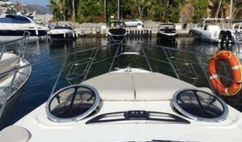 
										Cranchi Endurance 41 completo									