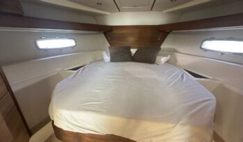 
										Sealine SC35 completo									