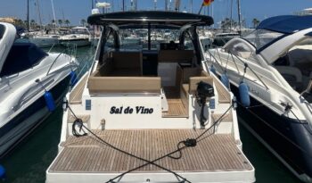 
										Sealine SC35 completo									