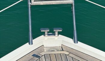 
										Sealine SC35 completo									
