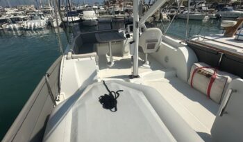 
										Beneteau Swift Trawler 34 completo									