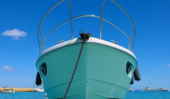 
										Beneteau Gran Turismo 34 completo									